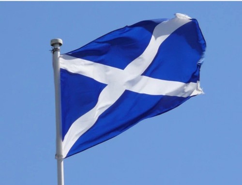 Navy blue scotland saltire - blue, st
